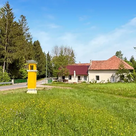 In * Auern
